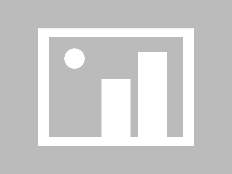 帕尔梅拉斯新援首秀表现抢眼，帕尔梅拉斯赛事